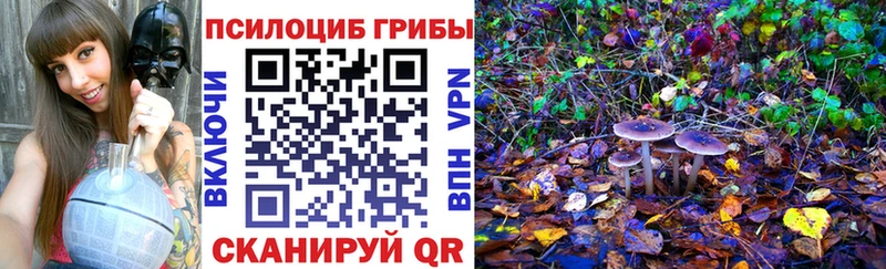 Галлюциногенные грибы мухоморы  shop наркотические препараты  Грайворон 