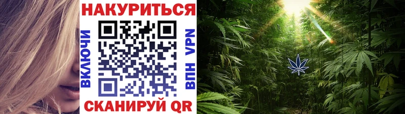 наркошоп  Грайворон  Бошки Шишки конопля 